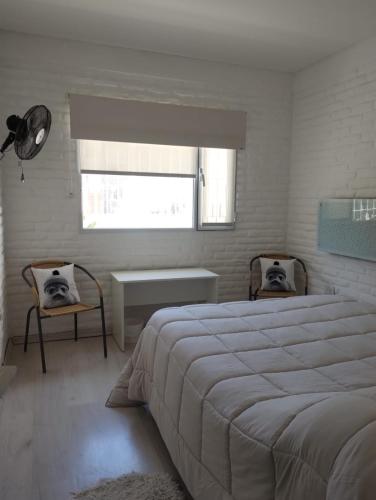 casa amonite hostel boutique