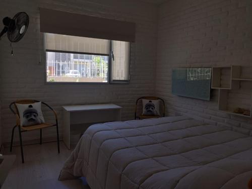 casa amonite hostel boutique