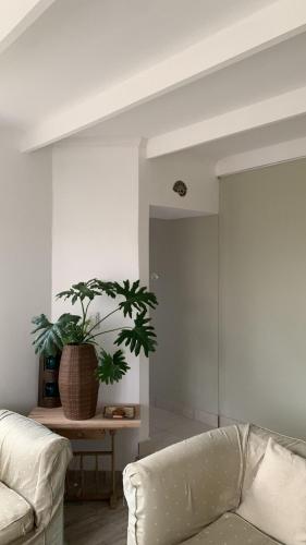 casa amonite hostel boutique