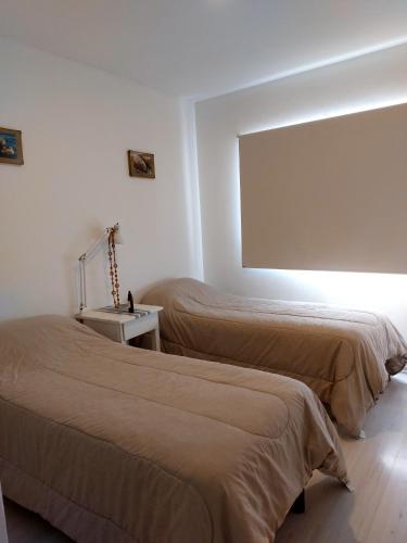casa amonite hostel boutique