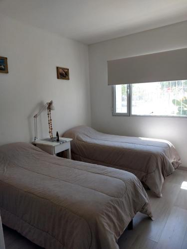 casa amonite hostel boutique