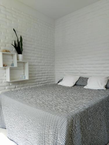 casa amonite hostel boutique
