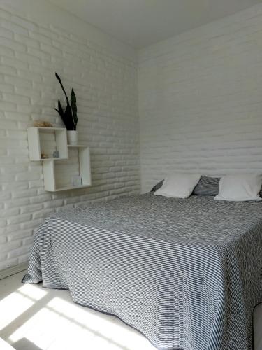 casa amonite hostel boutique