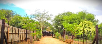 vivo lodge