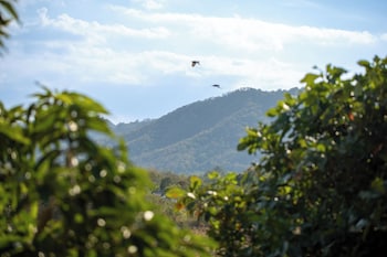 darad valley