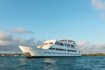 Galapagos Sea Star,,2 star