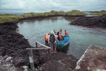 Galapagos Sea Star,,2 star