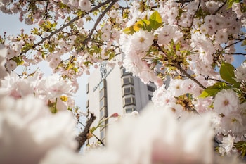 hotel marinela sofia