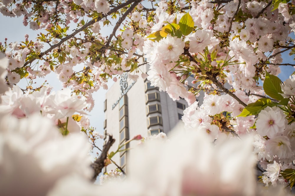 hotel marinela sofia