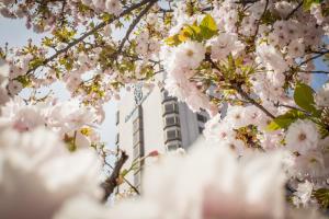 Hotel Marinela Sofia,Near National Palace Of Culture,5 star