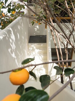 dali city shijing boutique homestay
