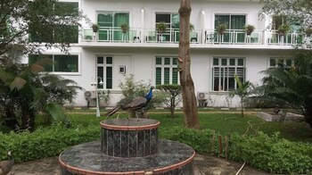 chakaville beach resort
