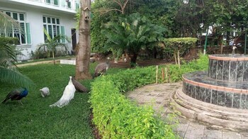 chakaville beach resort