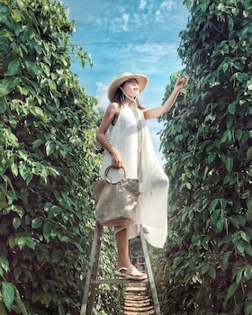 herbal resort