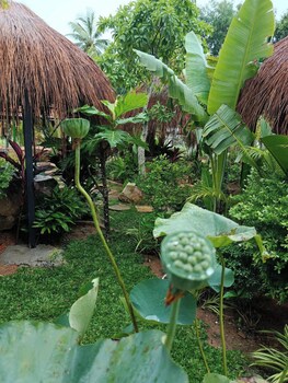 herbal resort
