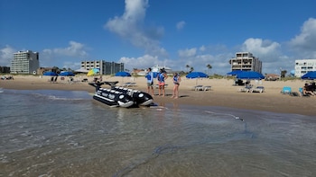 coronado 302