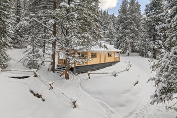lichen huts