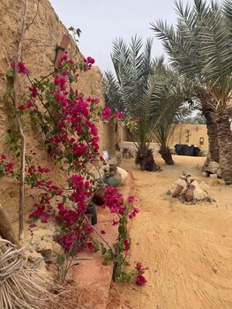 tatrabent eco friendly retreat in siwa