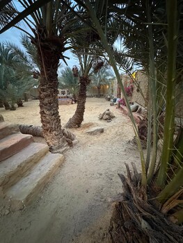 tatrabent eco friendly retreat in siwa