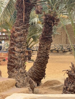 tatrabent eco friendly retreat in siwa
