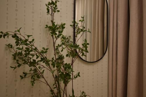 amaltas the view bespoke hotel apartment