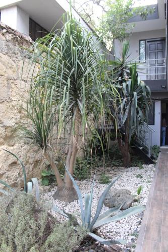 adhoc boutique barrio antiguo