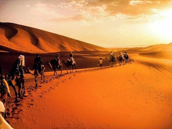 royal desert bivouac