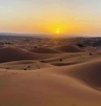 royal desert bivouac