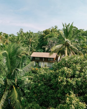 shibumi ubud