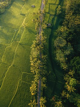 shibumi ubud