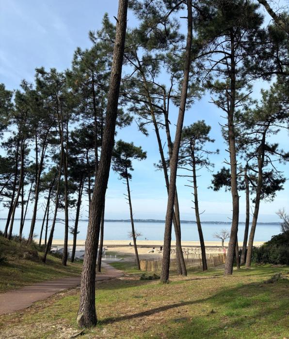 la residence thalazur arcachon