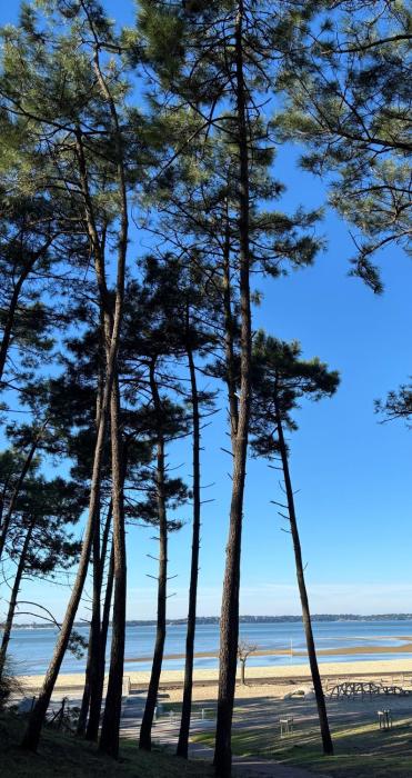 la residence thalazur arcachon