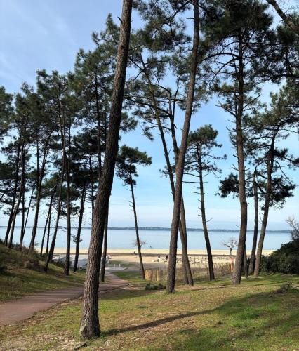 la residence thalazur arcachon