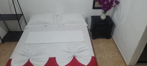 hostal villa del rio las brisas