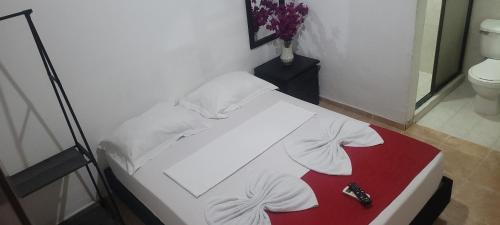 hostal villa del rio las brisas