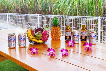 yanbaru villa kisen