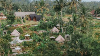 kamanicamp