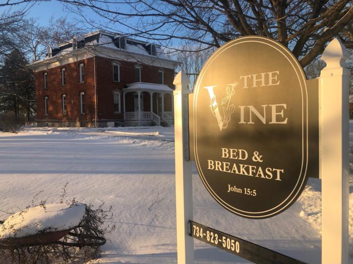 the vine bed and breakfast llc