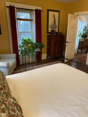 the vine bed and breakfast llc