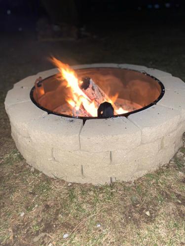 the vine bed and breakfast llc