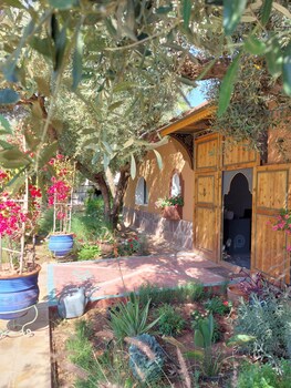 dar hisane