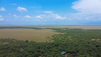 maasai mara