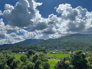 zinghome ha giang