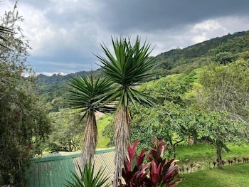 Bhoga Forest Orosi,,2 star