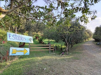 bhoga forest orosi
