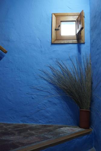 cau de lart