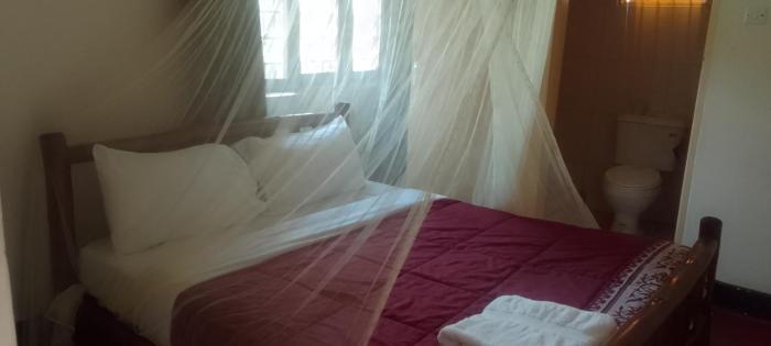 dream jet suites