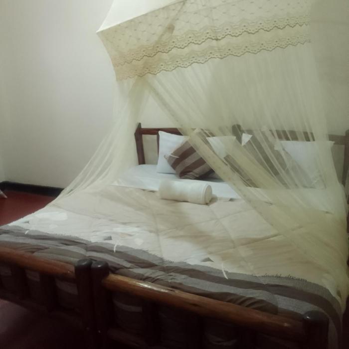 dream jet suites