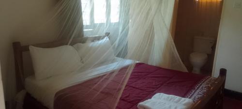 dream jet suites