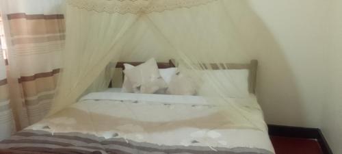 dream jet suites